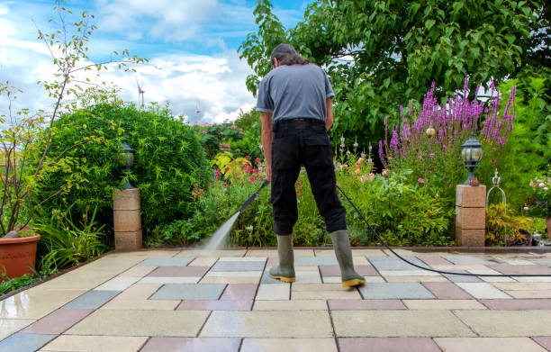 Best Winterizing Services  in White Oak, TX